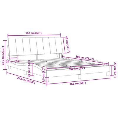 vidaXL Bettgestell mit LED-Leuchten Schwarz 160x200 cm Samt