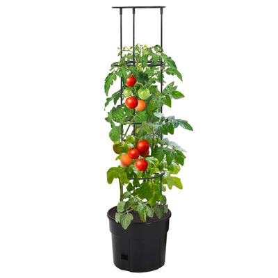 vidaXL Tomatentopf Anthrazit Ø29,5x115 cm Polypropylen