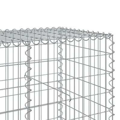 vidaXL Gabione mit Deckel 300x100x100 cm Verzinktes Eisen