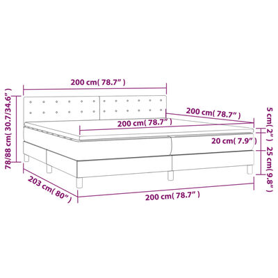 vidaXL Boxspringbett mit Matratze & LED Hellgrau 200x200 cm Samt