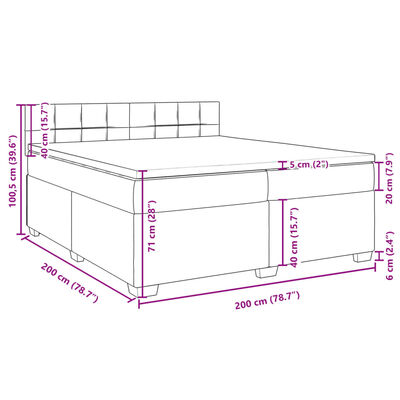 vidaXL Boxspringbett mit Matratze Hellgrau 200x200 cm Samt