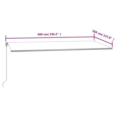 vidaXL Markise Automatisch Einziehbar 600x350 cm Anthrazit