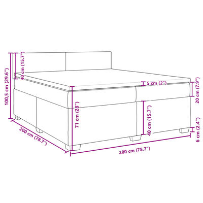 vidaXL Boxspringbett mit Matratze Hellgrau 200x200 cm Samt