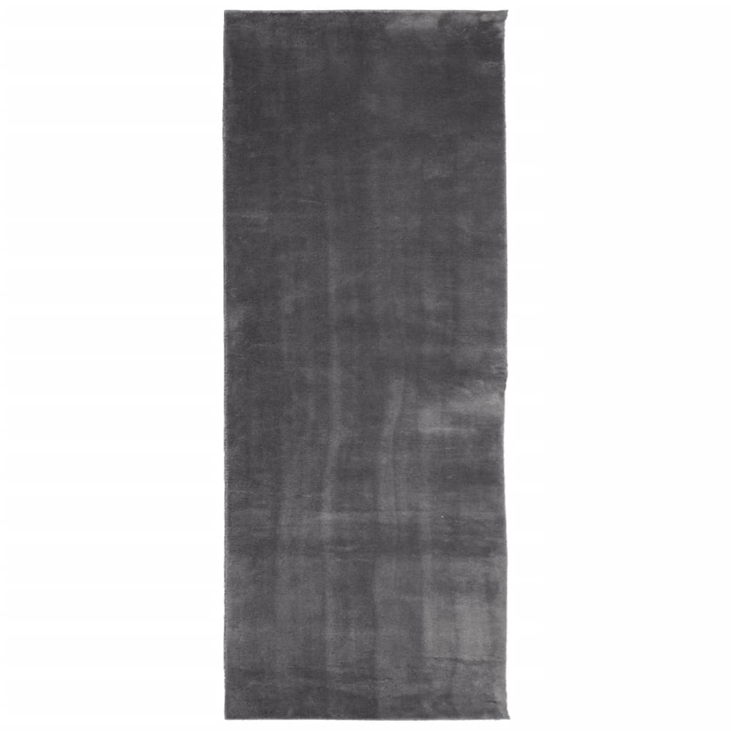 vidaXL Teppich HUARTE Kurzflor Weich und Waschbar Anthrazit 80x200 cm