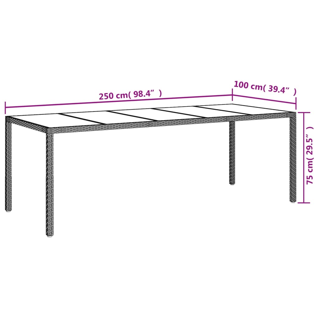 vidaXL Gartentisch Schwarz 250x100x75 cm Gehärtetes Glas Poly Rattan