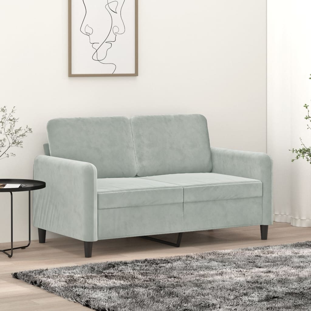 vidaXL 2-Sitzer-Sofa Hellgrau 120 cm Samt