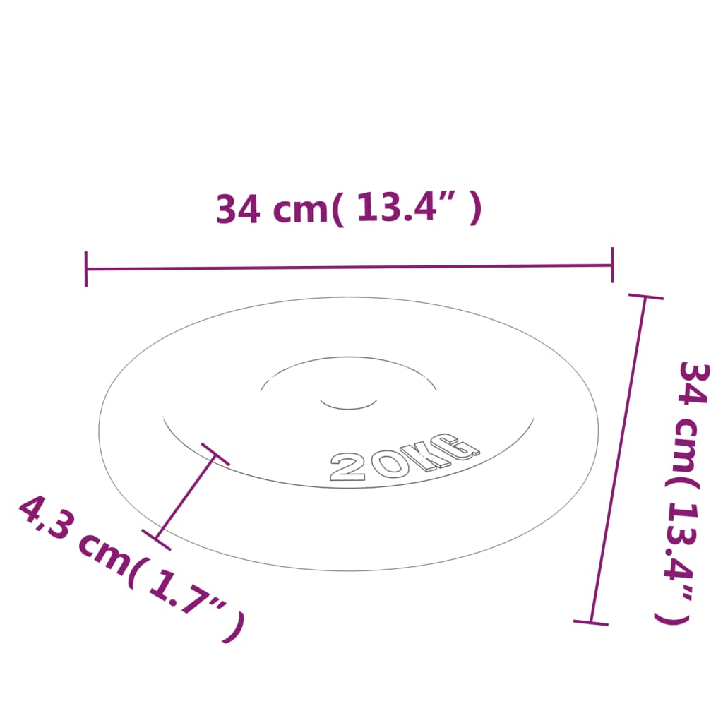 vidaXL Hantelscheibe 20 kg Gusseisen