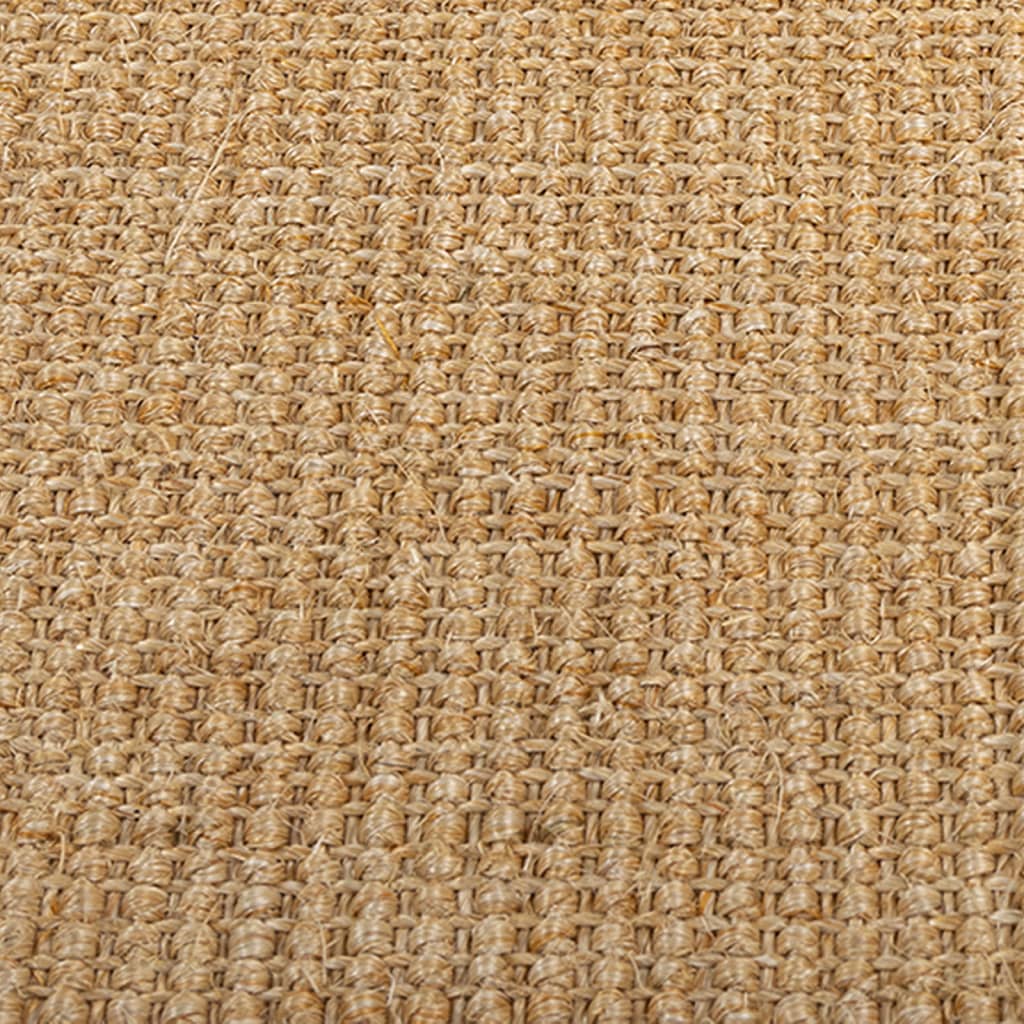 vidaXL Teppich Natur Sisal 66x100 cm