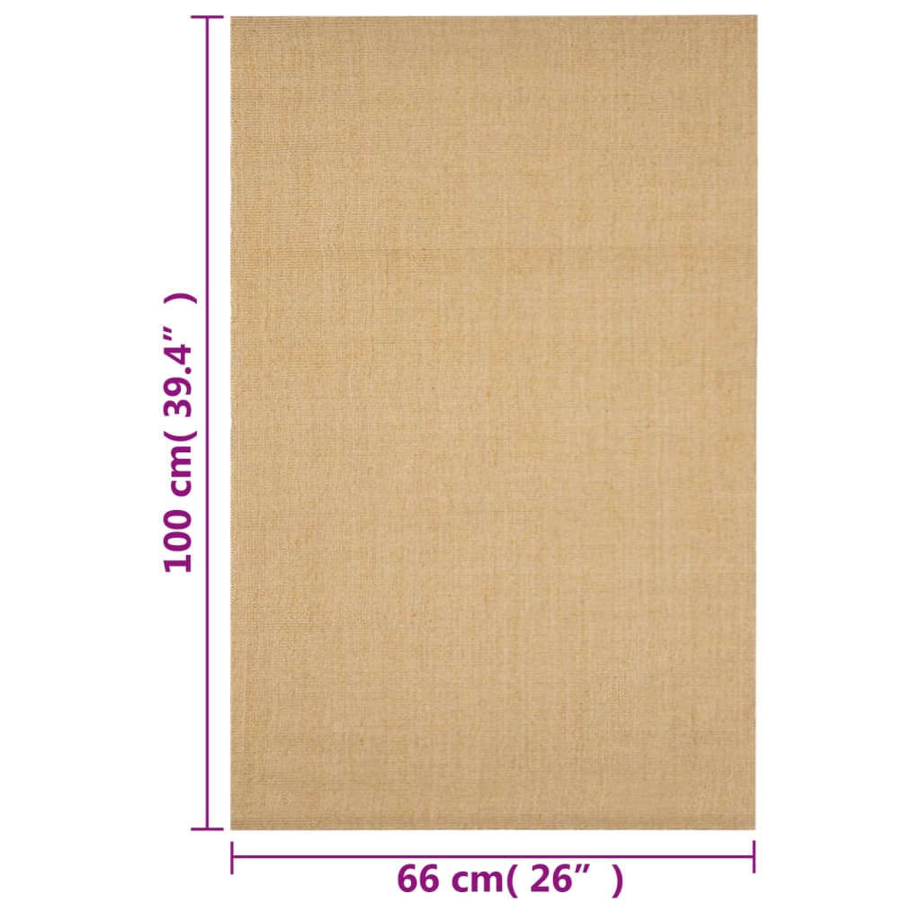 vidaXL Teppich Natur Sisal 66x100 cm