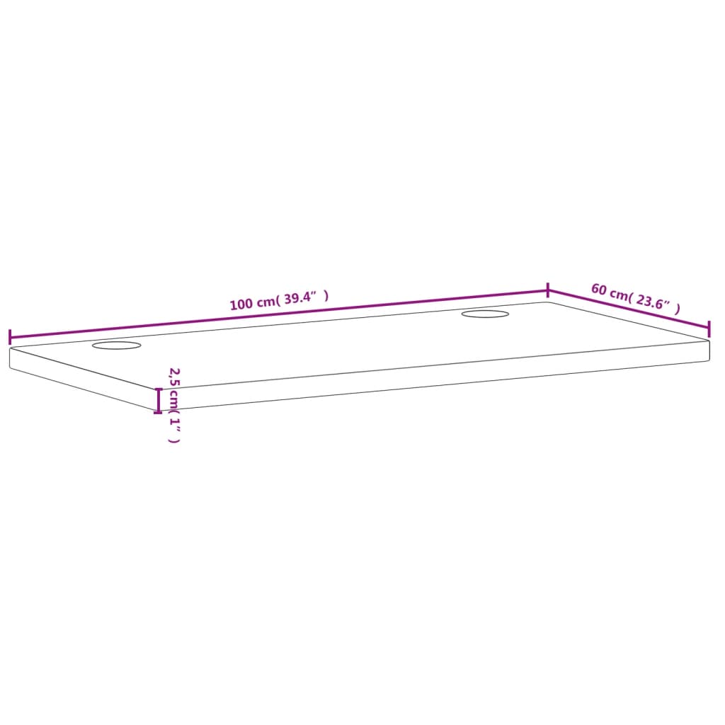 vidaXL Schreibtischplatte 100x60x2,5 cm Massivholz Buche